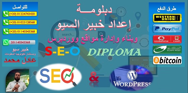 دورة احتراف السيو والووردبرس